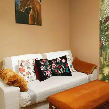 Exceptional Location Near Transport Free Parking