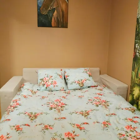Exceptional Location Near Transport Free Parking Vila